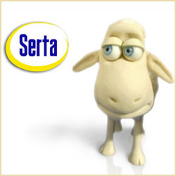 Serta Company Picnic Pictures