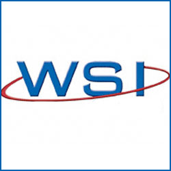 WSI Family Day Photos