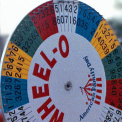 Wheel-O at the Company Picnic