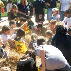 Treasure Hunt carnival game