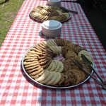 Plastic Gingham Table Cloth Quik Cover