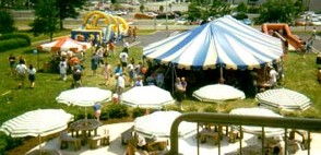 Virginia Company Picnic Photo