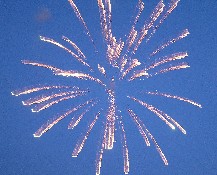 Fireworks at the Company Picnic