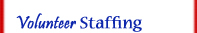 Volunteer Staffing Fundraising for Company Picnics